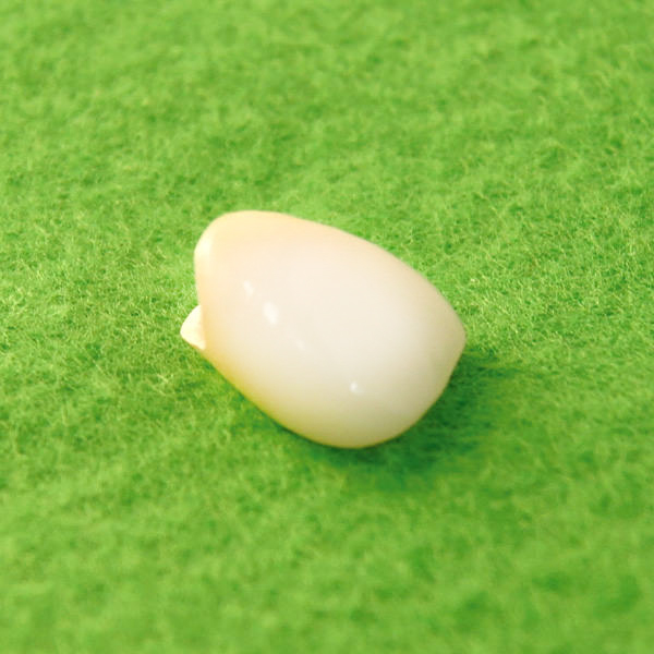 ハイブリッドセラミック