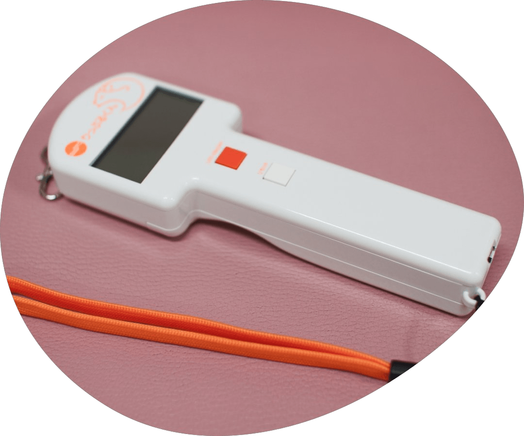 MFT（口腔筋機能療法）