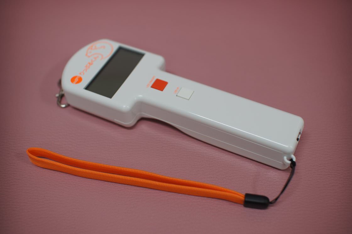 MFT（口腔筋機能療法）