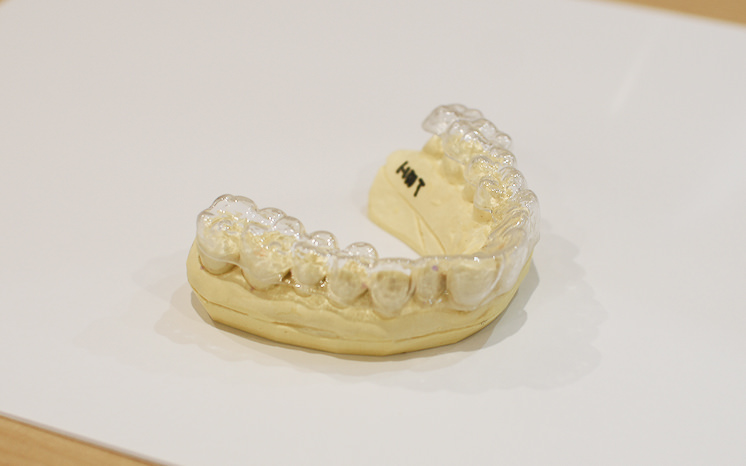 マウストレー作製